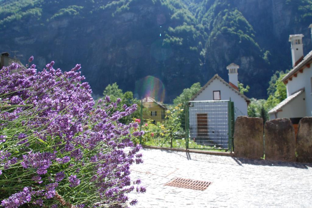 Отель Ca' Del Borgo Cadarese Экстерьер фото